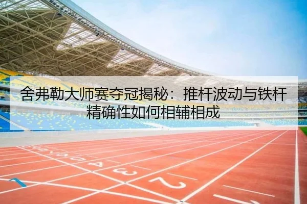 she-fu-lei-da-shi-sai-duo-guan-jie-mi-tui-gan-bo-dong-yu-tie-gan-jing-que-xing-ru-he-xiang-fu-xiang-cheng-2-495.jpg