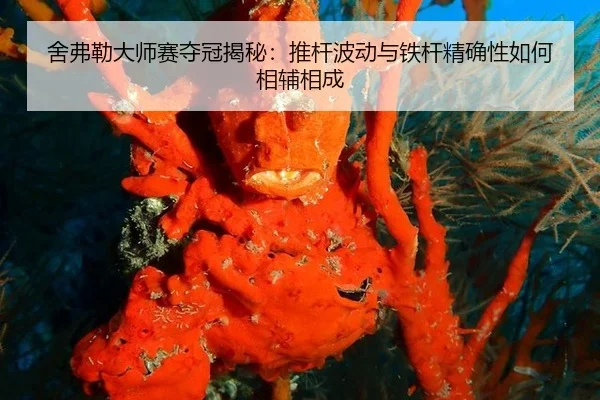 舍弗勒大师赛夺冠揭秘：推杆波动与铁杆精确性如何相辅相成