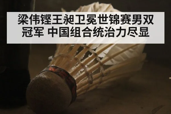 梁伟铿王昶卫冕世锦赛男双冠军 中国组合统治力尽显